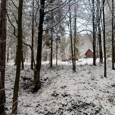 Domek W Lesie Diabelski Kociolek Strzebowiska Exterior foto