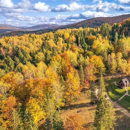 Domek W Lesie Diabelski Kociolek Strzebowiska Exterior foto
