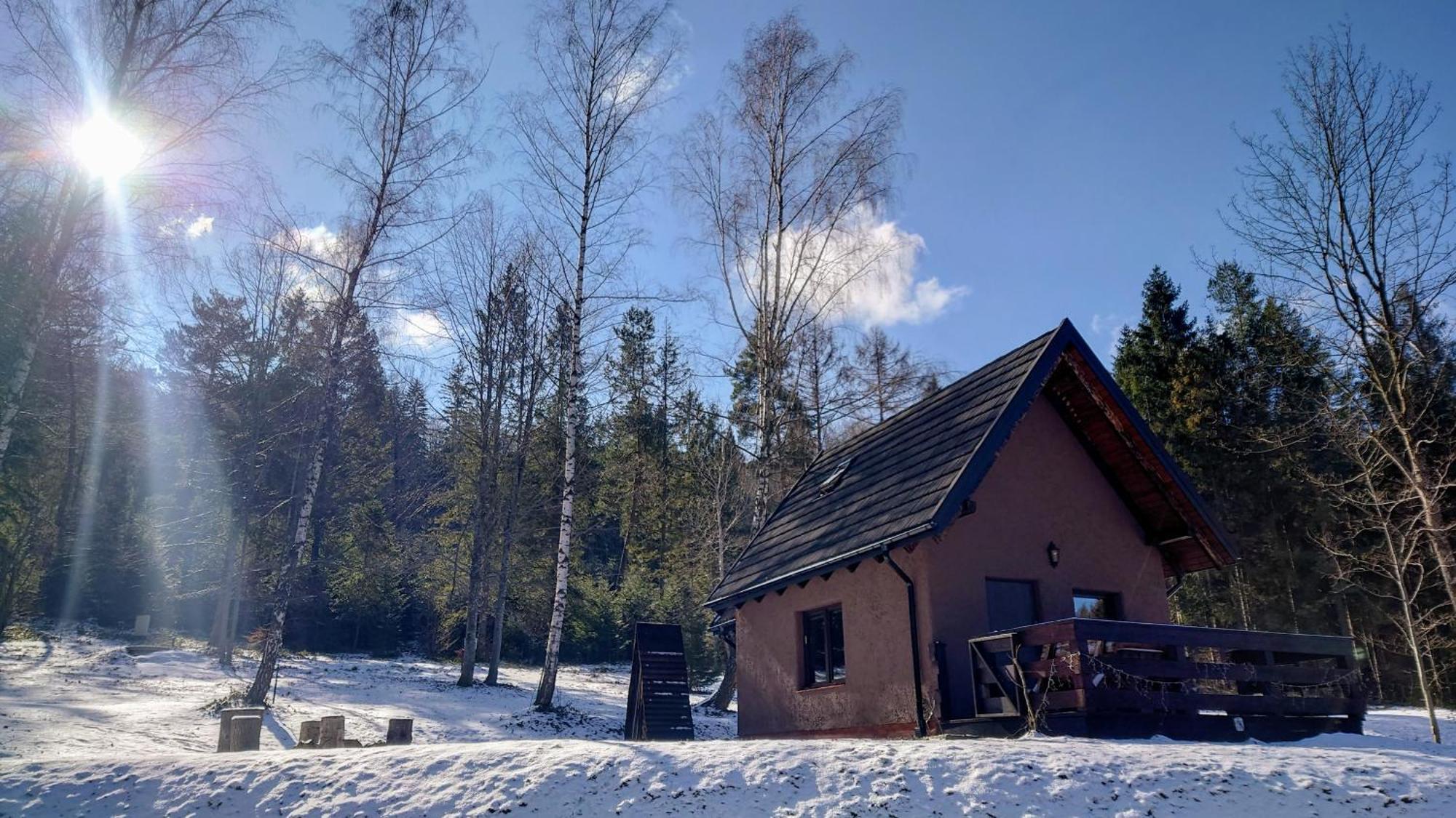 W Lesie Diabelski Kociolek Apartamento