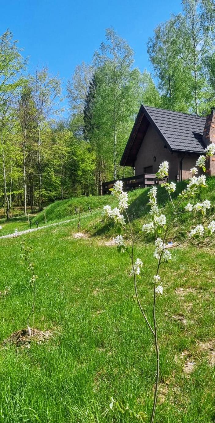 W Lesie Diabelski Kociolek Apartamento